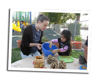 teacher girl and pinecones